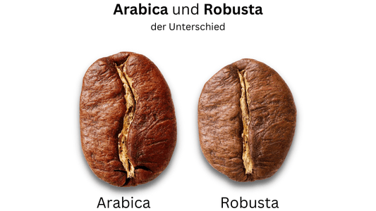 Die Arabica und Robusta Kaffeebohne stehen nebeneinander, mit der Überschrift: "Arabica und Robusta - der Unterschied".